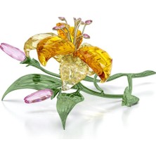 Swarovski 5671725 Swarovski Ev Dekorasyonu Florere:lıly L