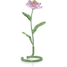 Swarovski 5668065 Swarovski Ev Dekorasyonu Florere:peony