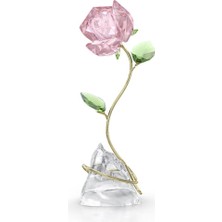 Swarovski 5666973 Swarovski Ev Dekorasyonu Florere:rose