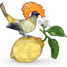 Swarovski 5651811 Swarovski Biblo Idyllia:royal Flycatcher
