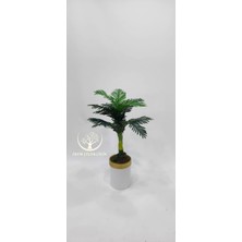 Beyaz Gold Saksıda Küçük Yeni Areka 100 cm - Premium