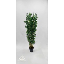 Siyah Plastik Saksıda 7'li Bambu - 170 cm (Premium)