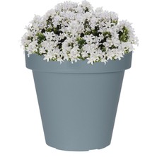 Via Gardenia Gri Plastik Yuvarlak Saksı Çap 40 cm Yükseklik 35 cm