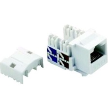 Çet-San Keystone Jack Cat 6