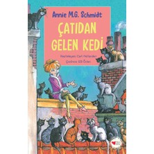 Çatıdan Gelen Kedi - Annie M.G. Schmidt