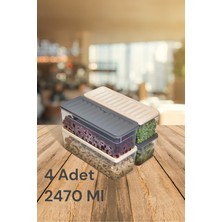 Nesto Home 4'lü Set Renkli Derin 2470 ml Buzdolabı Düzenleyici Buzluk ve Mikrodalga Saklama Kabı 4X2470