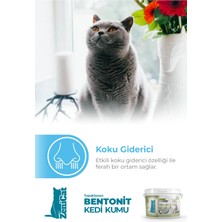 ZeniCat Kokulu Renkli Kedi Kumu Ince Taneli Doğal Bentonit