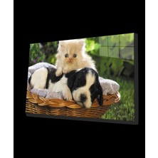 Kedi Köpek Cam Tablo