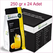 Prafendy Limonata Toz Gerçek Meyve Taneli 250 gr x 24 Adet