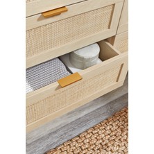 Different Design Areca