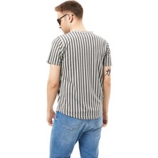 Alp Çizgili Bisiklet Yaka Tişört %100 Cotton