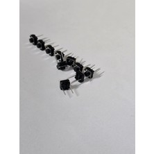 Korg Sviç BUTON6X6X3.5MM 2pin Korg PA800.PA80.PA60,İS40,50,35 Orgorjinalswiç 10"lu Paket