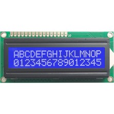 Teknomecs 2X16 LCD Mavi Ekran