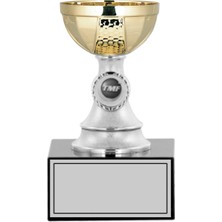 Odak Tmf Motosiklet Ödül Kupası S-001- C 17 cm