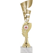 Odak Futbol Kupası Ödül Kupası Tören Kupası 27 cm GN005