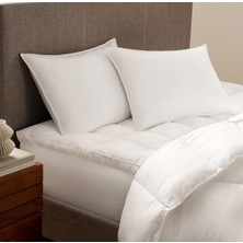 Seda Home Art Gold Serisi %100 Kaz Tüyü Doğal Yastık - 50X70 1000gr , %30 Gıdık-%70Sırt Tüyü ,Gold biyeli