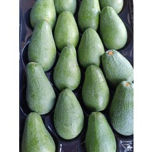 Has Organik Avokado 2 kg Taze Hasat (Mini Boy)