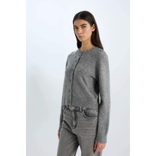 DeFacto Regular Fit Bisiklet Yaka Düğmeli Taşlı Triko Hırka E0772AX24WN