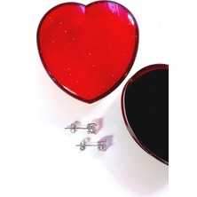 GÜMÜŞ KALP KUTULU TEK TAŞ TASARIM KADIN ERKEK KÜPE YILBAŞI YENİ YIL HEDİYE 4E