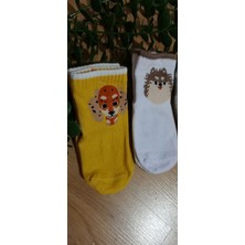 Bebek Meselesi Balco Desen Erkek Bebe Kaydırmaz Taban Soket Çorap