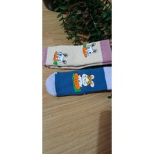 Bebek Meselesi 2'li Terra Desen Kız Havlu Kaydırmaz Taban Bebe Soket Çorap