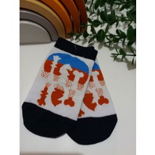 4'lü Foot Desen Erkek Çocuk Patik Çorap
