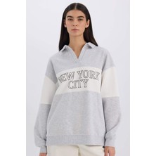 DeFacto Relax Fit Polo Yaka Baskılı Kalın Sweatshirt E3229AX24WN