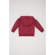 DeFacto Kız Bebek Kapüşonlu Basic Düz İçi Yumuşak Tüylü Fermuarlı Sweatshirt D0750A524AU