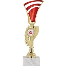 Odak Futbol Kupası Ödül Kupası Tören Kupası 25 cm GN037