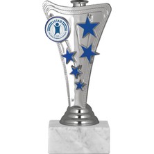 Odak Futbol Kupası Ödül Kupası Tören Kupası 16 cm GN042