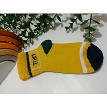 Bebek Meselesi 4'lü Suzy Desen Mevsimlik Erkek Çocuk Soket Çorap