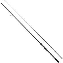 Ryuji Sky Force 248 cm 4-35 gr Spin Kamış