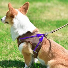 Haitn Kedi Köpek Ayarlanabilir Koşum Yelek Yansıtıcı Yavru Kedi Koşum Yelek ile Çekiş Kurşun Halat Pet Aksesuarları Nefes Pet Yelek | Koşumlar (Kahverengi) (Yurt Dışından)