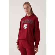 Harvard Kadın Bordo Sweatshirt