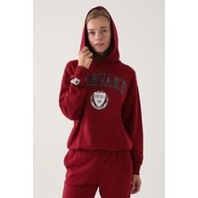 Harvard Kadın Bordo Sweatshirt