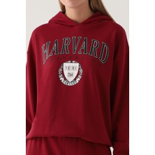 Harvard Kadın Bordo Sweatshirt