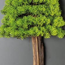 Bonsai Tablaeu - 6C - Mdf Plaka Üzerinde Çerçeveli 3 Boyutlu Yapay Ağaç Tablosu 33X60 cm