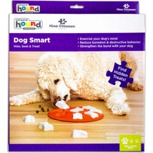 Outward Hound Dog Smart Interactive Puzzle Köpek Zeka Oyuncağı