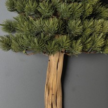 Bonsai Tablaeu - 4B - Mdf Plaka Üzerinde Çerçeveli 3 Boyutlu Yapay Ağaç Tablosu 33X60 cm