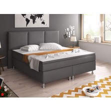 Oslo Suni deri 3 Lü Set (YATAK+BAZA+BAŞLIK)180X200