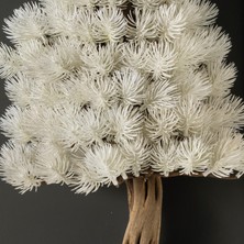 Bonsai Tablaeu -3-3A - Mdf Plaka Üzerinde Çerçeveli 3 Boyutlu Yapay Ağaç Tablosu 33X60 cm