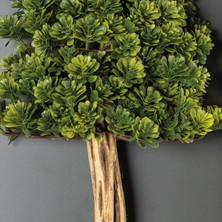 Bonsai Tablaeu - 5b - Mdf Plaka Üzerinde Çerçeveli 3 Boyutlu Yapay Ağaç Tablosu 33X60 cm