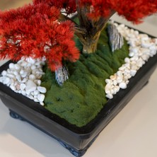 Atlas Bonsai-3-1 Masaüstü Kullanıma Uygun Doğal Ağaç Gövdeli Yapay Bonsai Ağacı - 50X60 cm