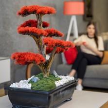 Atlas Bonsai-3-1 Masaüstü Kullanıma Uygun Doğal Ağaç Gövdeli Yapay Bonsai Ağacı - 50X60 cm