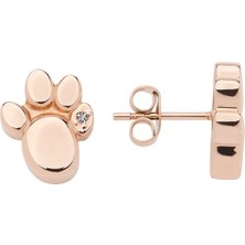 Energetix Pati Formlu Kristalli Manyetik Küpeler