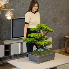 Atlas Bonsai-7 Masaüstü Kullanıma Uygun Doğal Ağaç Gövdeli Yapay Bonsai Ağacı - 50X60 cm