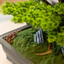 Atlas Bonsai-7 Masaüstü Kullanıma Uygun Doğal Ağaç Gövdeli Yapay Bonsai Ağacı - 50X60 cm