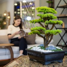 Atlas Bonsai-6 Masaüstü Kullanıma Uygun Doğal Ağaç Gövdeli Yapay Bonsai Ağacı - 50X60 cm