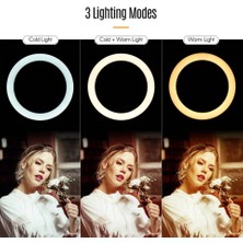 Christal 14 Inç Esnek Masaüstü Sıkıştırmalı Tiktoker Ring Light LED Selfie Yayın Işığı