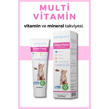 Kitten Paste 100G Yavru &anne Kedi Multivitamin Malt Macun